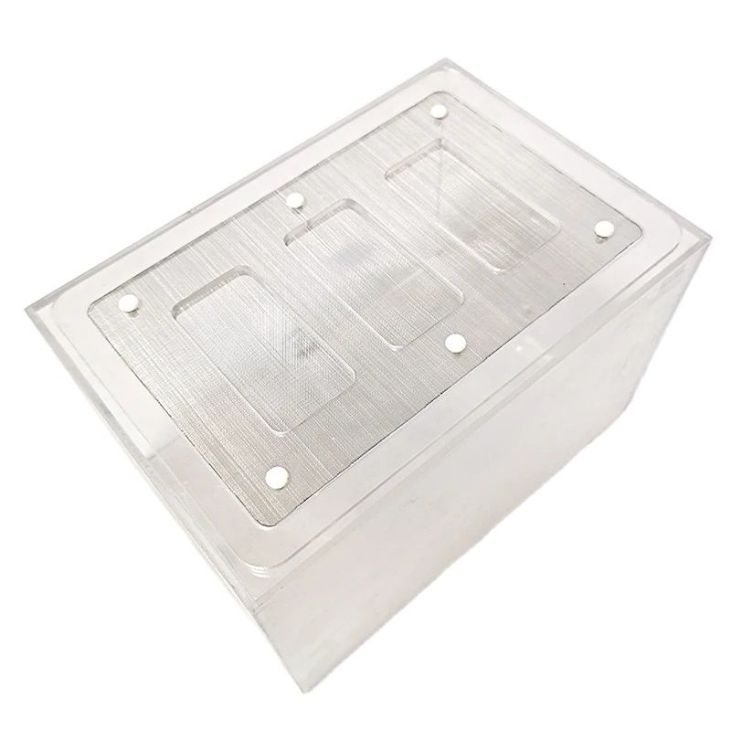 Acrylic Finished Seamless Ant  - Begonia Rex review and price