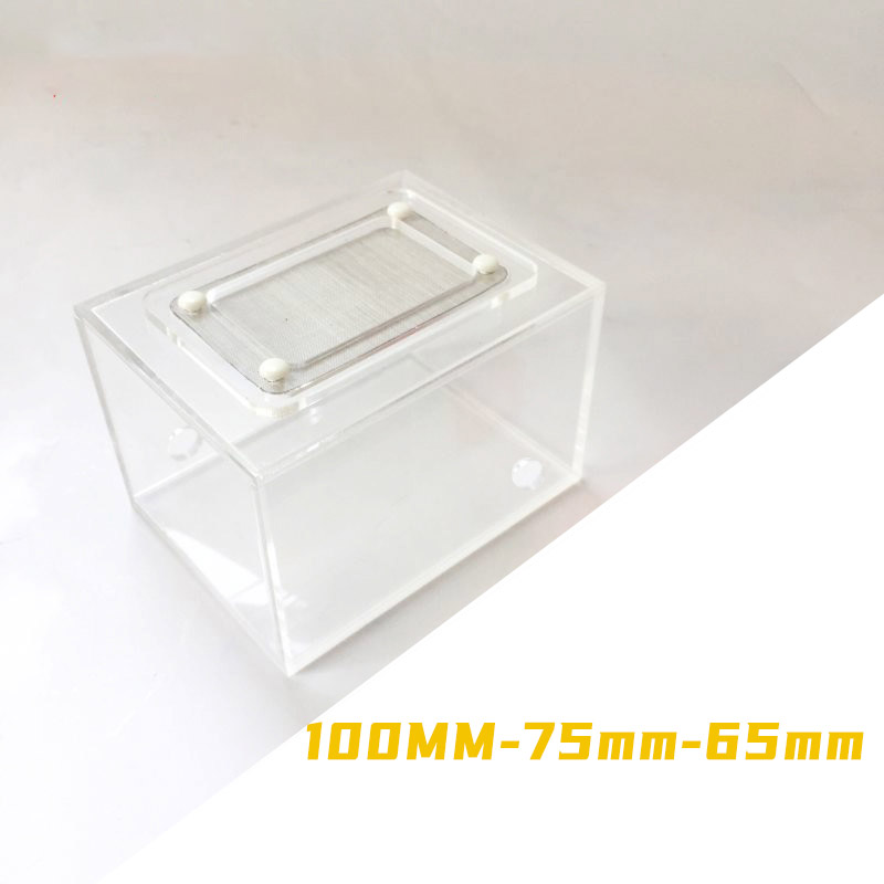 Acrylic Finished Seamless Ant  - Begonia Rex review and price