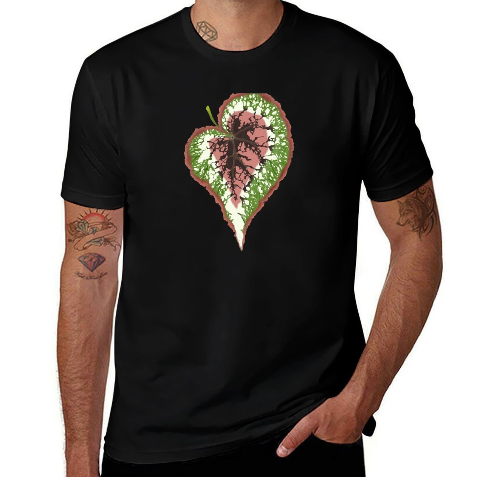Begonia Rex T-Shirt Basic Simp - Begonia Rex review and price