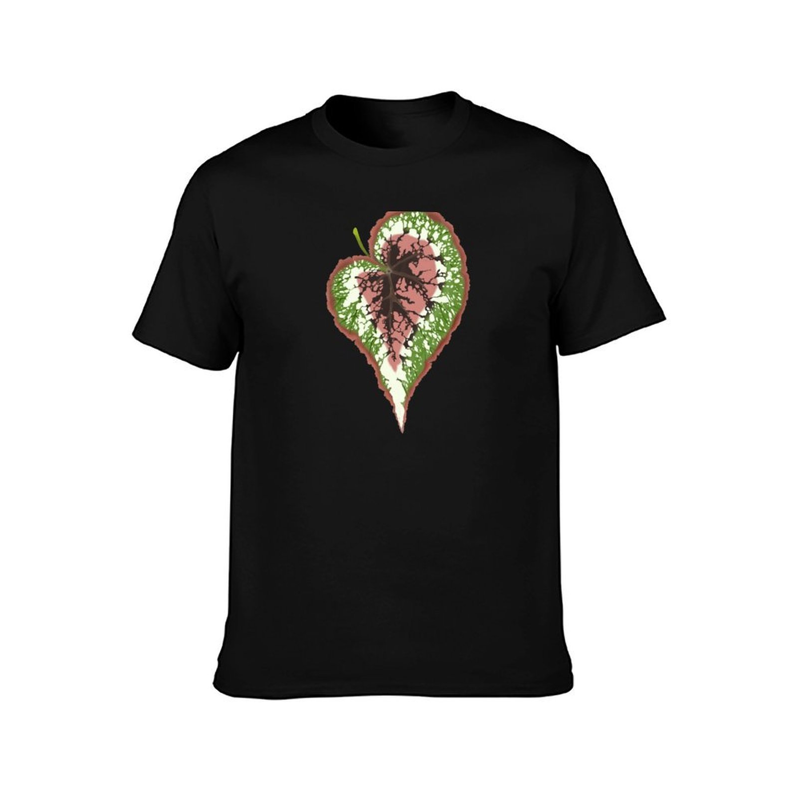 Begonia Rex T-Shirt Basic Simp - Begonia Rex review and price