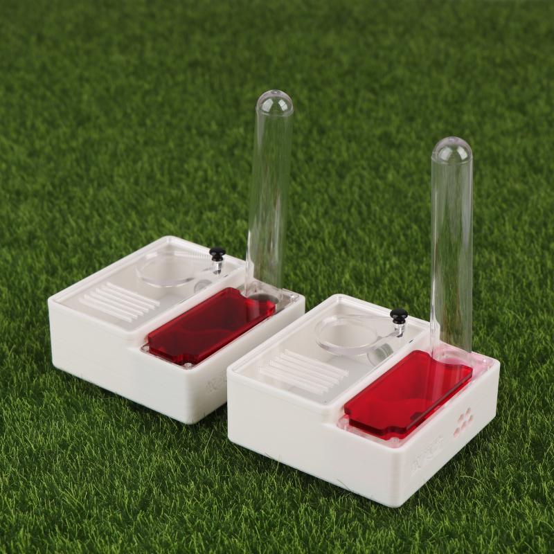 1Pcs Ant Farm Queen Ant's Nest - Begonia Rex review and price