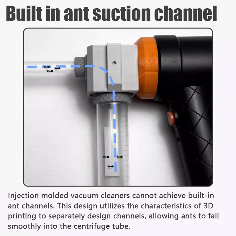 Ant Farm Collection Tool Ants  - Begonia Rex review and price